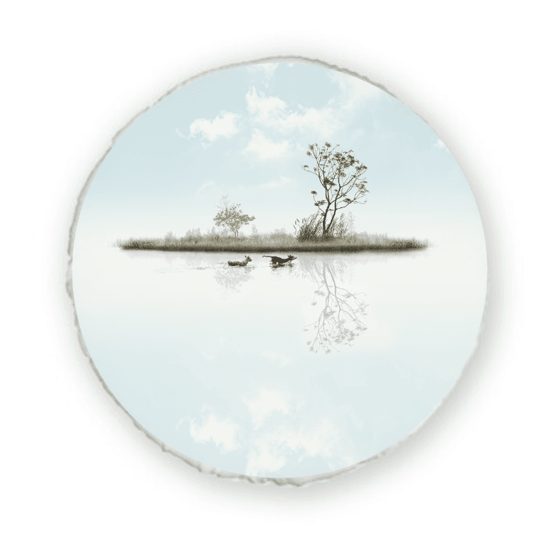 Island #10 — 圓形抱枕(可拆式) 3