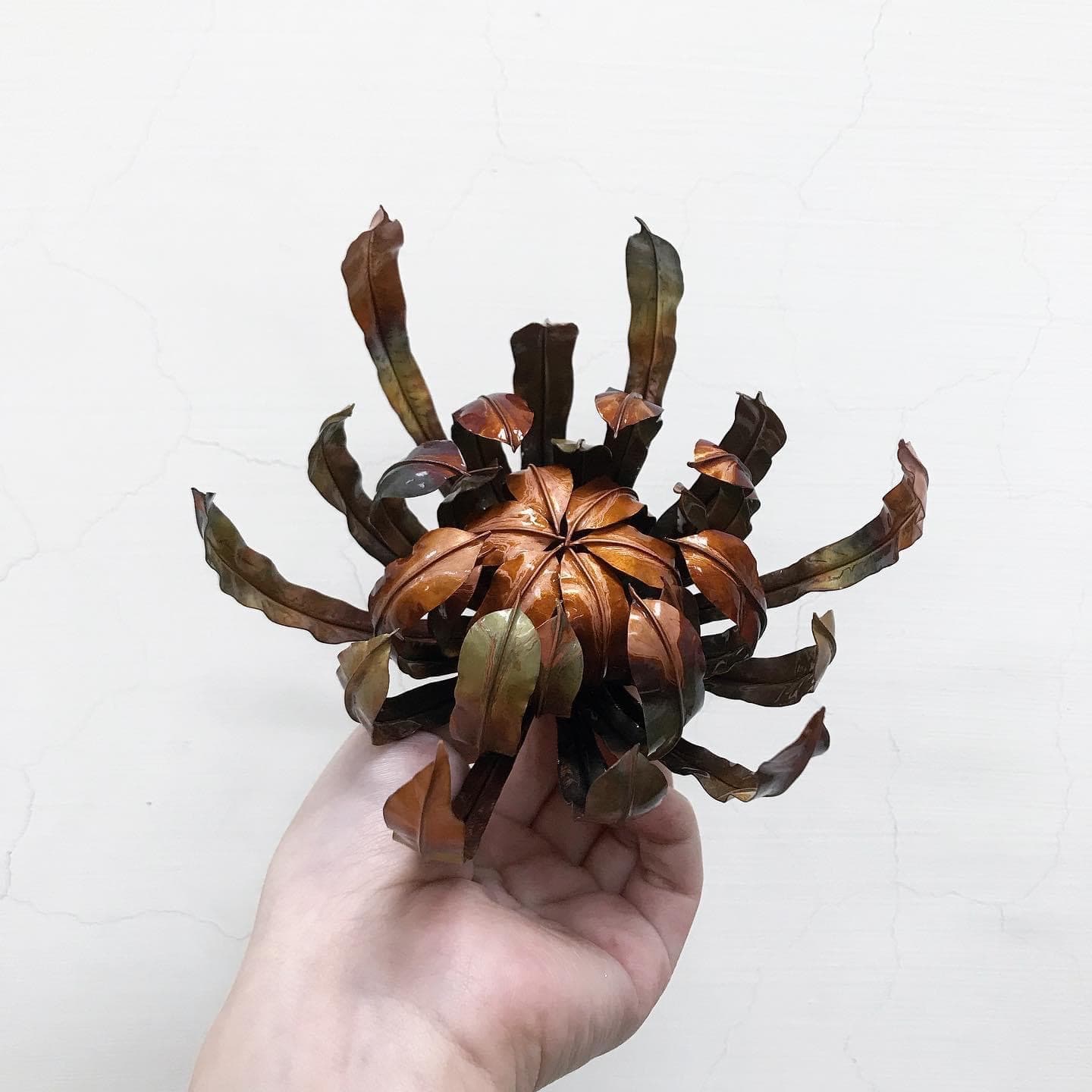 張惠竹