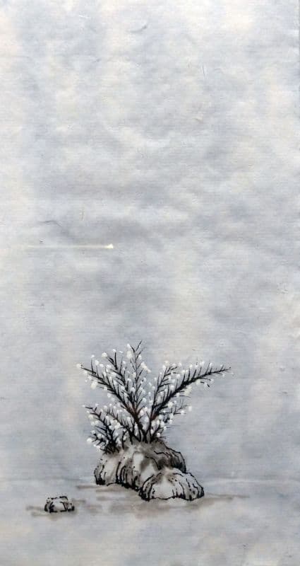 程怡慈
