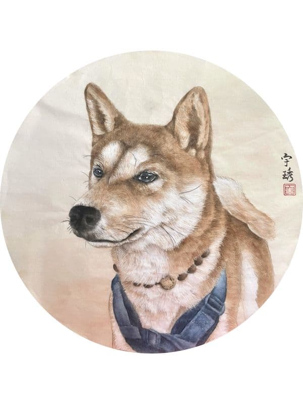 華宇琇